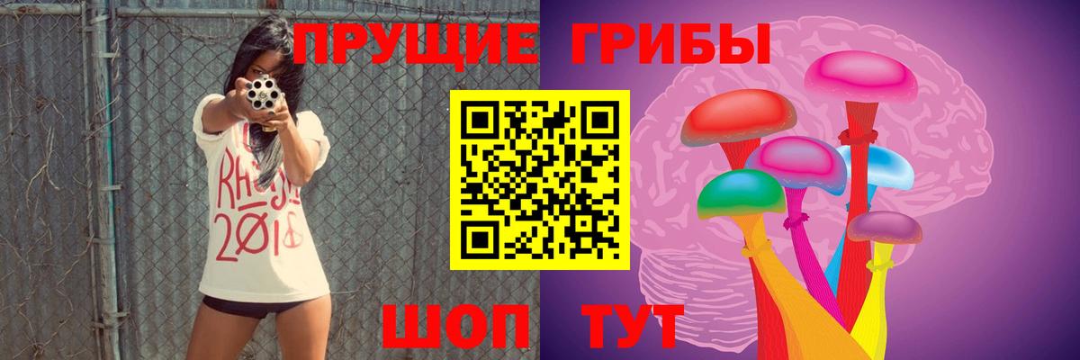 Саратов  Псилоцибиновые грибы прущие грибы  Вход с VPN 